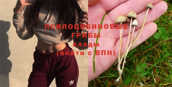 шишки Алексин