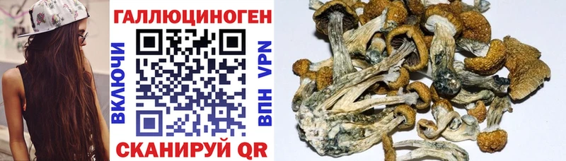 Псилоцибиновые грибы мухоморы  купить закладку  Феодосия 